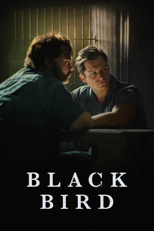 مسلسل Black Bird 2022